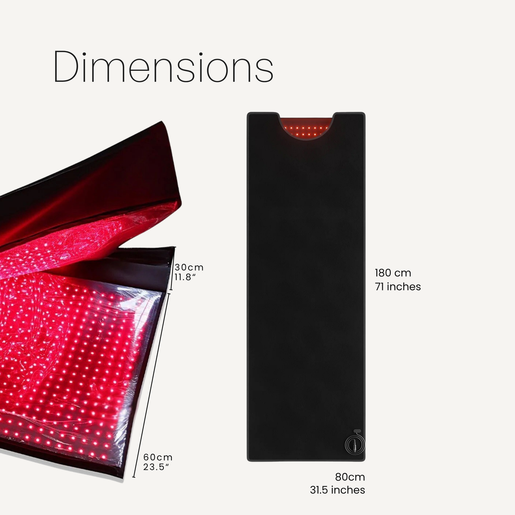 The Chrysalis (2460 LED Mat)