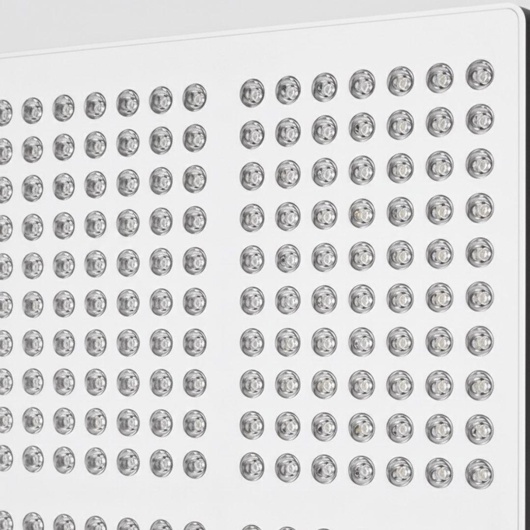 Vital Dose 432- Panel